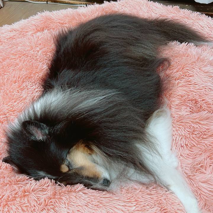 7d55079e 63b5 4fb1 8fac 78dc85298ac9 1710607014623