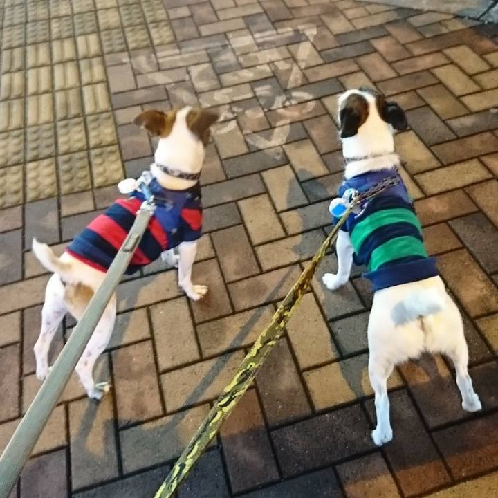 7d550dcb b0c5 4ec0 8a63 10dcba4dc182 1538048020898