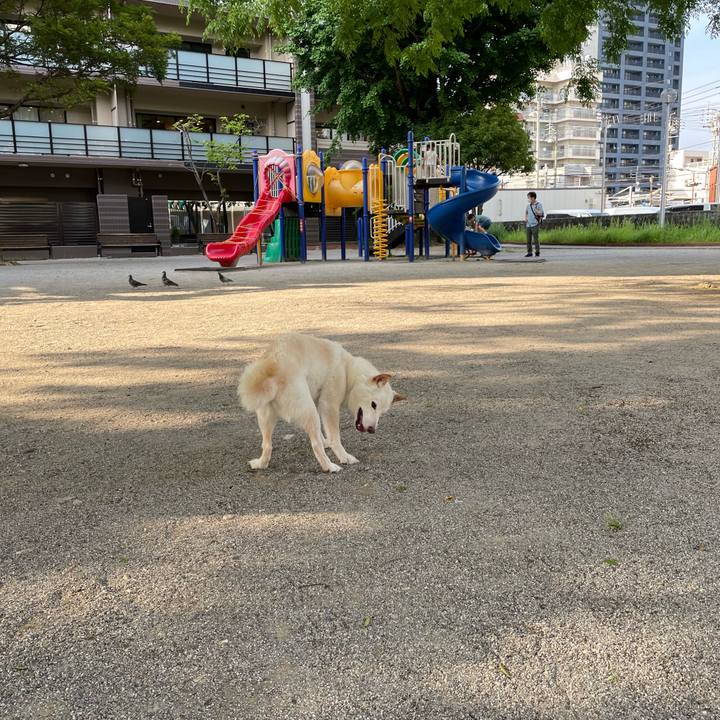 7d556f15 2f5d 40e4 8dbf f69b97d97bbe 1654355970080