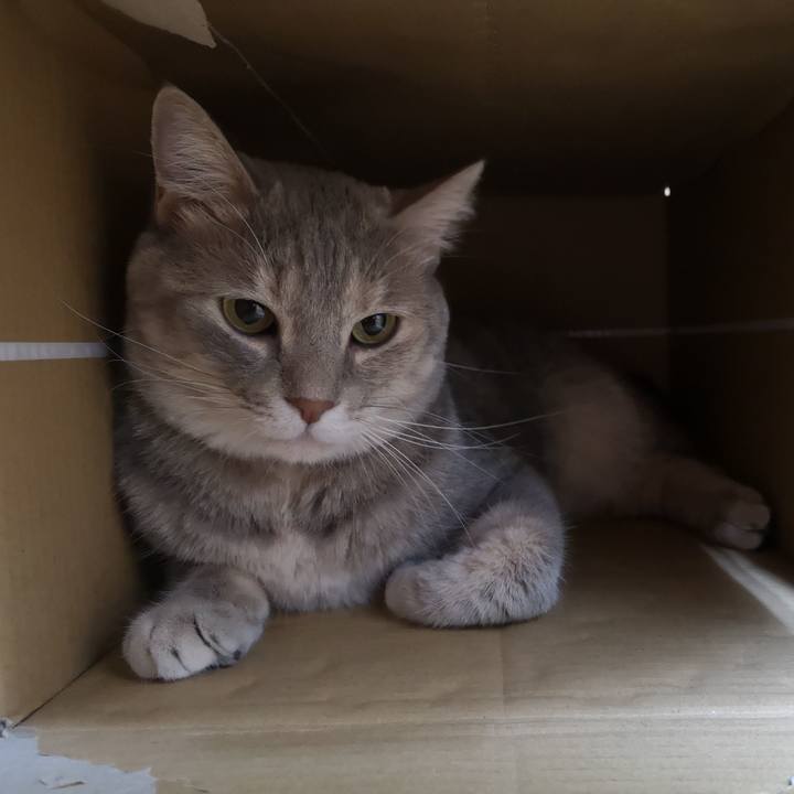 7d55c4cf f2fb 44ee bfd3 f7cae161be7c 1566655002499