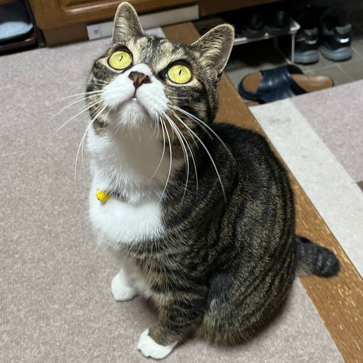 7d55c515 d92d 4cd9 85d3 f7a8fae390a9 1759707368044