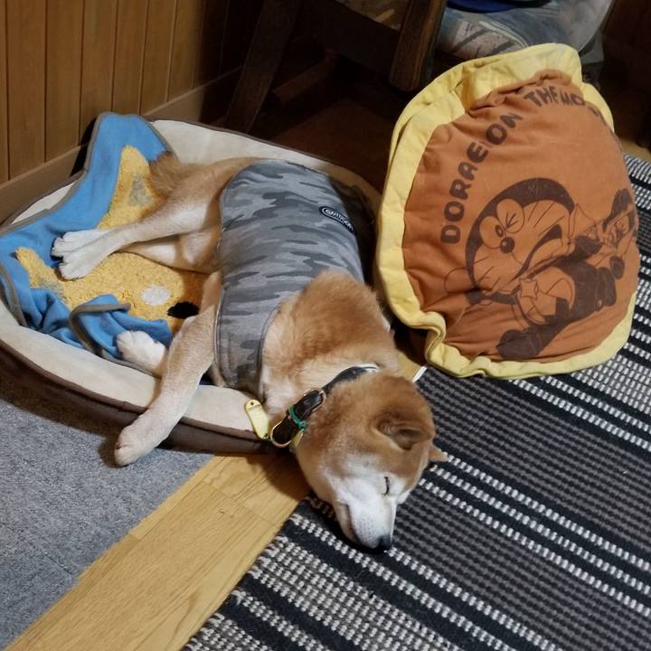 7d55c707 9590 41fd bf1f 3193085592f4 1616324045176