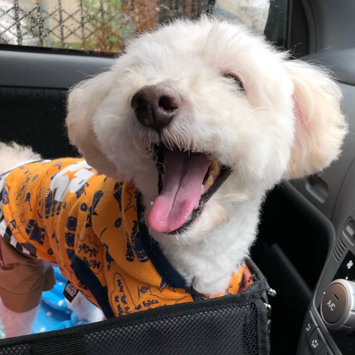 7d561d07 cfd6 47de bad1 979223397c22 1537613540728