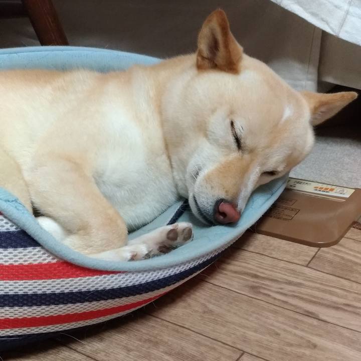 7d56283f c92c 4932 86d7 2c7f9d0fd9ec 1563681302720