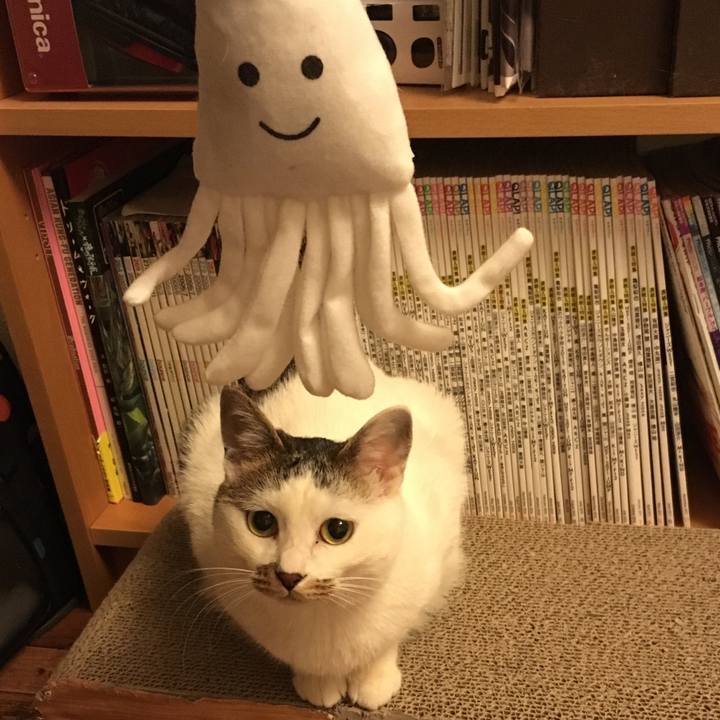 7d56559b 9522 4e75 909b 1f8132c6b170 1516371692051