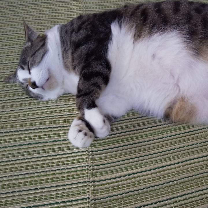 7d568999 756c 44a9 b6c9 c5466fdd31d1 1650688725337