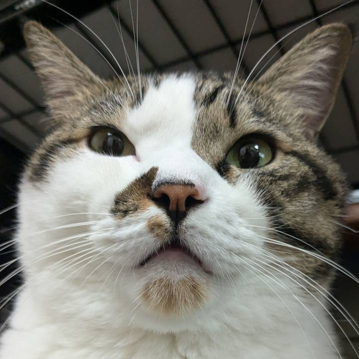 7d569972 c838 48cc bfe2 cb6efd5729af 1729341365062