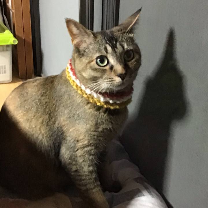 7d56a229 0ef8 494d b2d9 b25f4dd31457 1622464345548