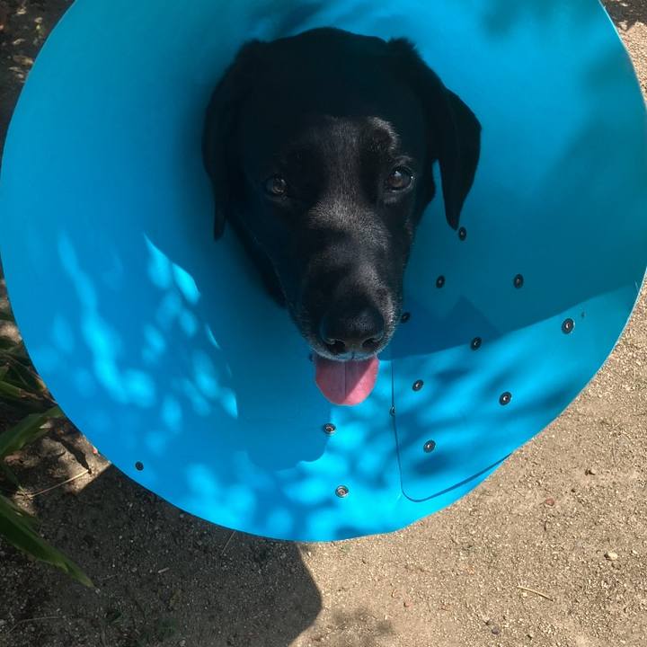 7d56e416 2eec 4402 94a8 2ab55056c0c1 1754196210033