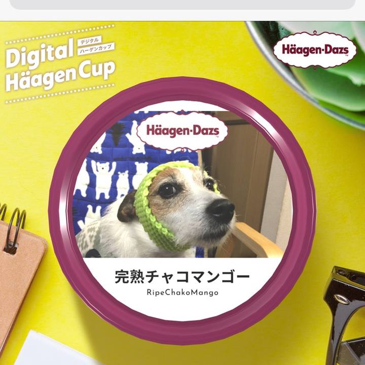 7d56ecbd d8dc 4949 9a15 841f9f295aba 1607462808512