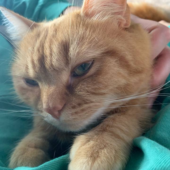 7d56f4ba ad26 422d 890f cc9d568880a7 1650763953261