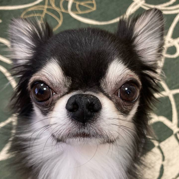 7d570761 8c6b 4d17 ae61 b5f45e69a6e5 1645314202206