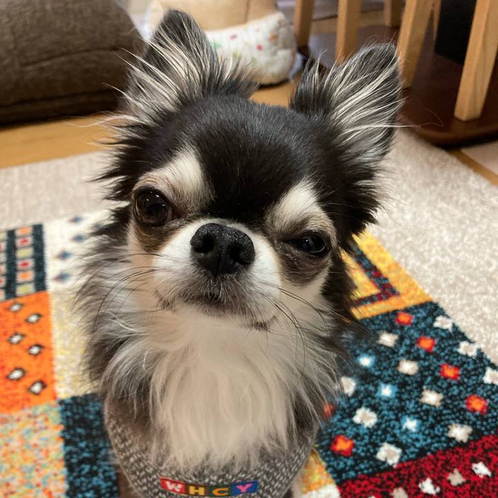 7d571668 c6ab 4686 b5a1 623d67dddd4d 1705750979341