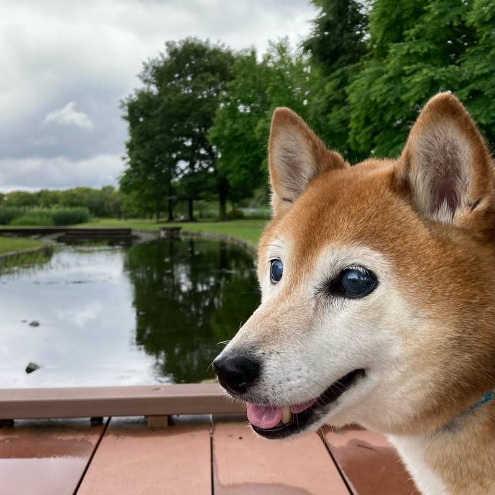 7d571f82 17a6 4e00 a984 db5d55f84a9a 1717138151416