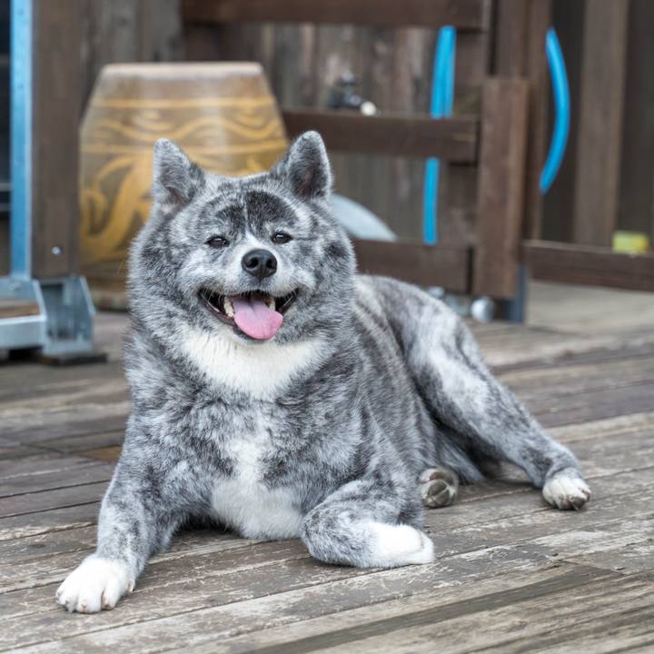 7d572446 7c19 4742 9d96 93e8978b59d8 1624846110470