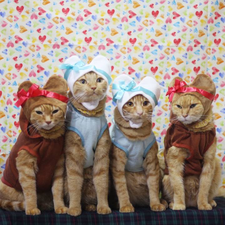 7d572592 ddf5 45b5 9c18 9e7bc1604b32 1707655495143