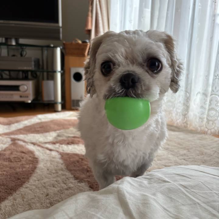 7d573c9e 1e6a 4794 8fd8 4f1a4c7b533b 1761774573663