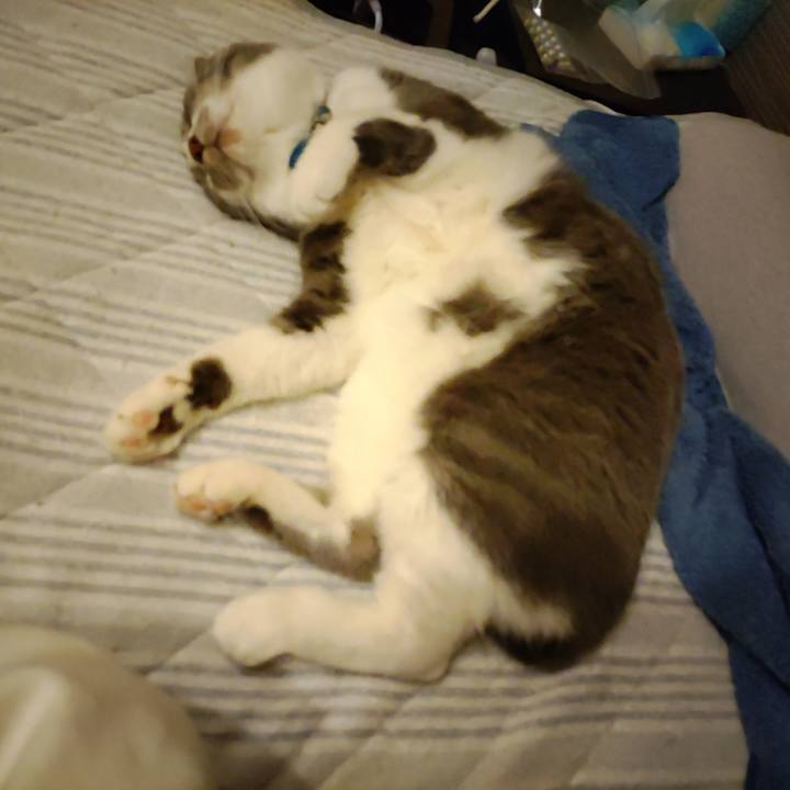 7d5770ab 809b 4503 a86f 74878e481ef3 1715692114179