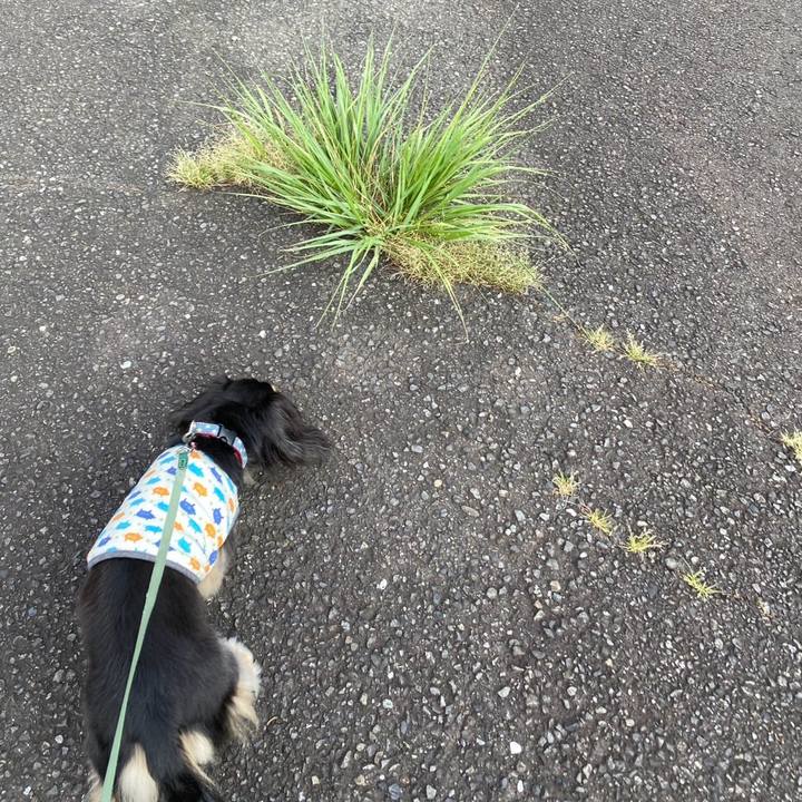 7d5774a3 3665 44cc 9d51 e553bd11c79d 1752014423197