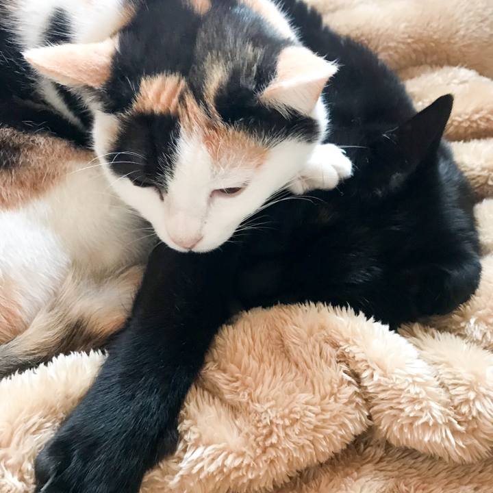 7d578154 a9d8 44f8 b8ea 42259ef7923f 1521002214716