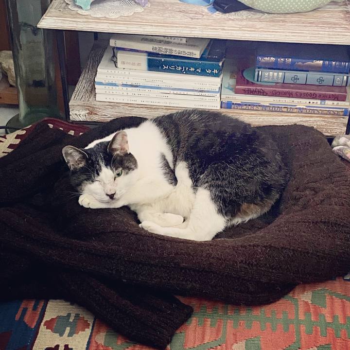 7d57ed2d e2ab 4fe6 bbf9 8dba87a7cb9f 1585298712491