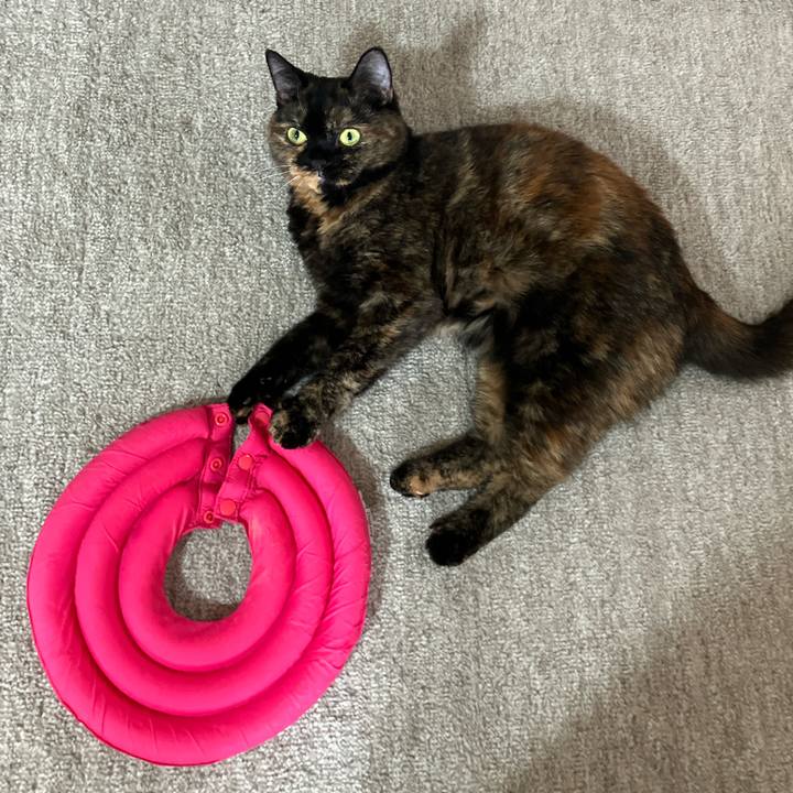 7d58029d 86ad 4633 906a 90727bb35050 1756508592743