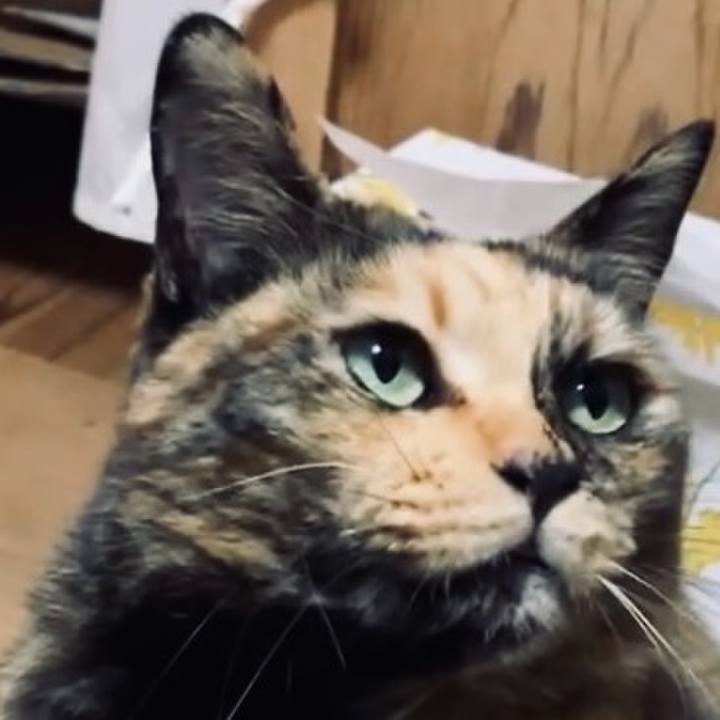 7d580d7b 3c4e 4269 940b a5eb1667e819 1733909983363