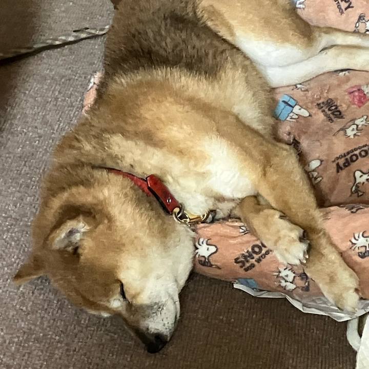 7d58303f 05a2 4434 a9d6 b95f330ba3fd 1768714547214