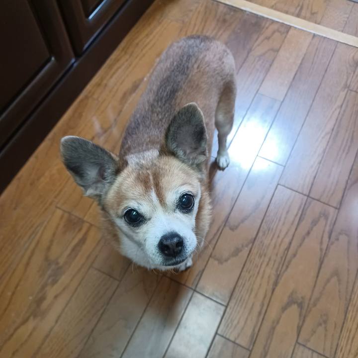 7d584473 8dc3 4d14 90df abde4c47b425 1762988024292