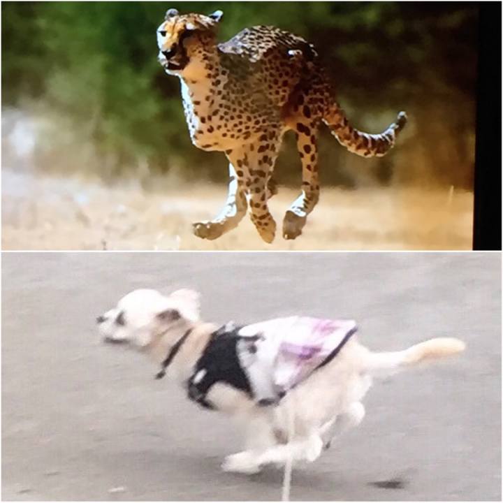 7d586233 f42c 453f ad36 85a3b6d6a72c 1541846829425