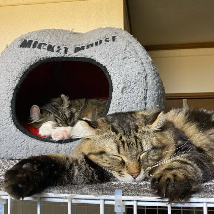 7d586772 2865 45d1 a7b1 9f2d137af6b1 1578237141025