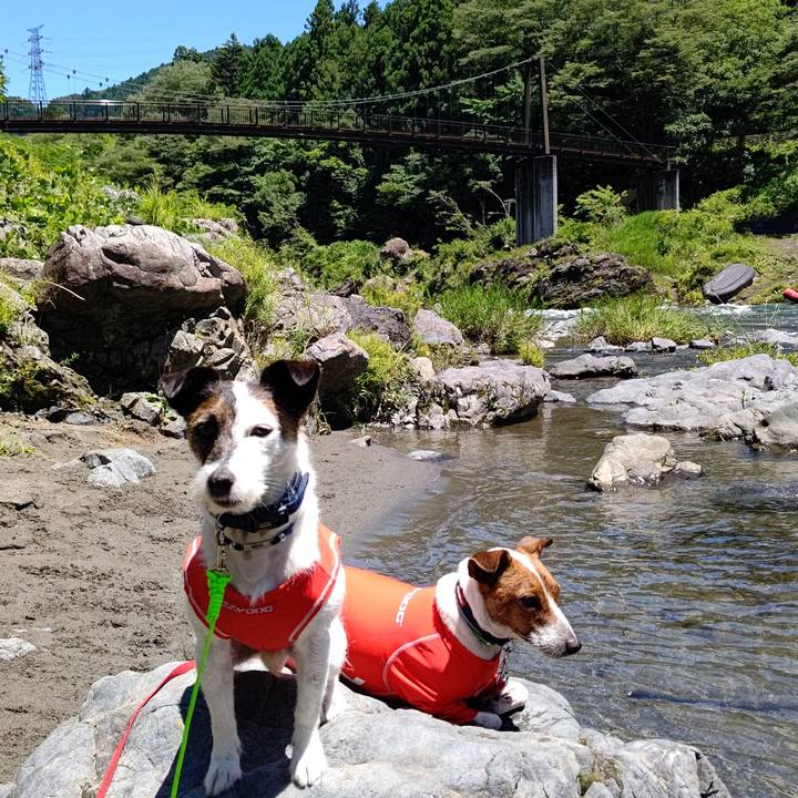 7d58748d 2bbc 4d76 aa6a fd51bafdd9de 1626513275464