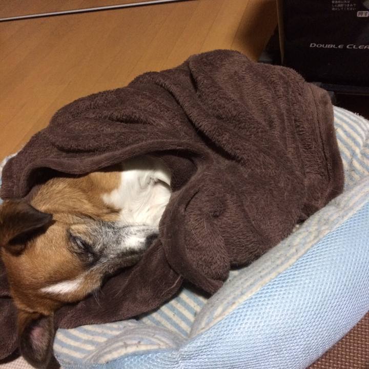 7d588d1a 5d67 4154 bede 0cf6da627cb9 1544877338764