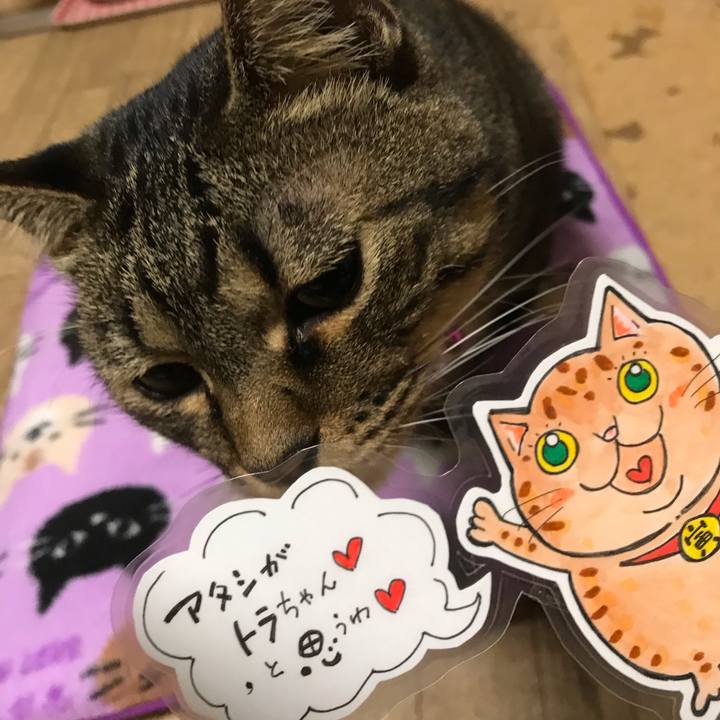 7d588eb1 8e95 42e0 9c9f 57deb7acabdf 1542906902570