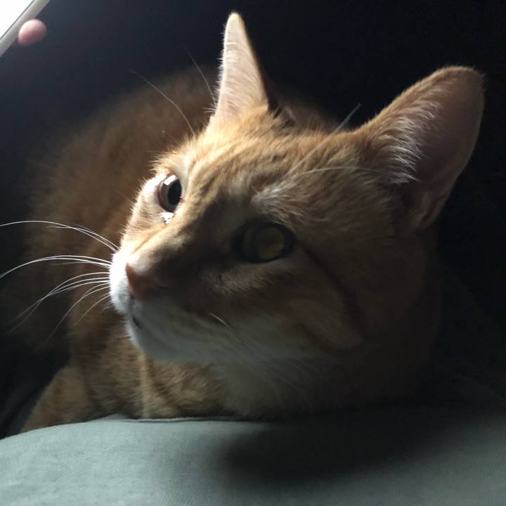 7d58aead 4d0a 452d b0e8 639d725461d5 1650540000924