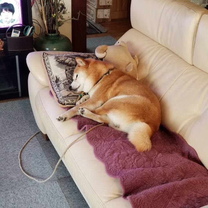 7d58e5cf 8aa0 41f7 acc8 0d11eb8c21e5 1588545943697