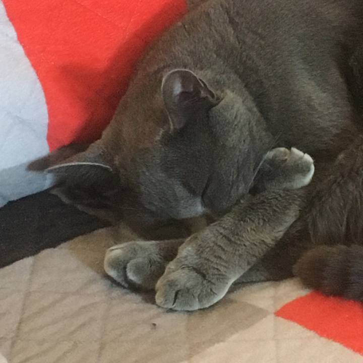 7d58f1c4 4c83 40ee 9d28 dccad5abae2a 1656373559110