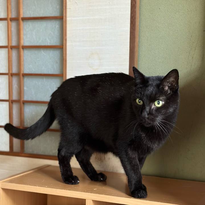 7d59389e f103 4be6 a534 9a8ed39222a9 1670637372866