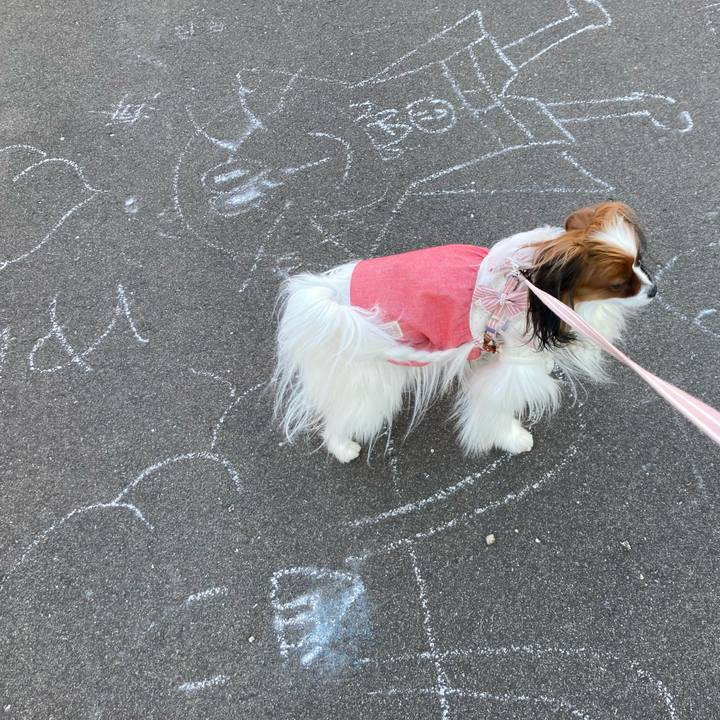 7d598307 2538 46fe b089 f294445ea4c0 1649401034494