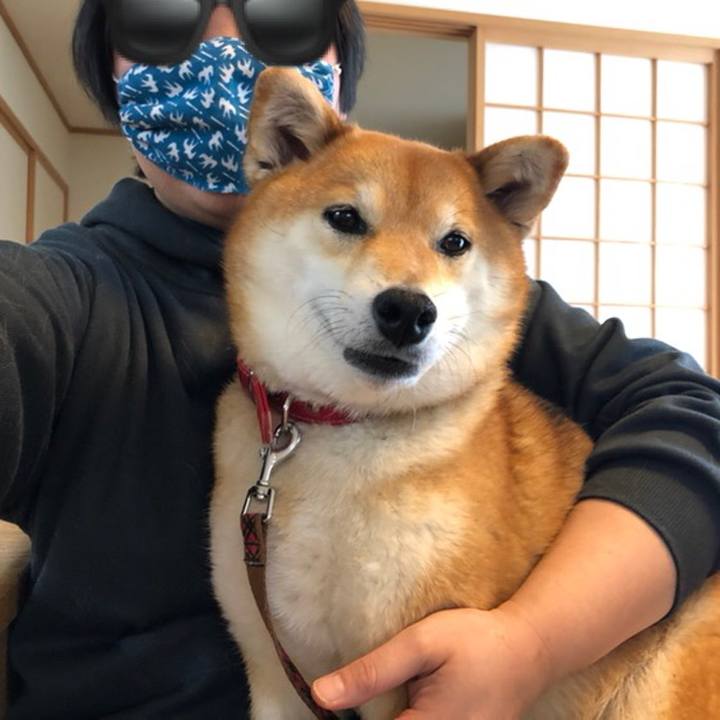 7d59b266 451e 426e b2a2 75d125bb62b4 1588129183012