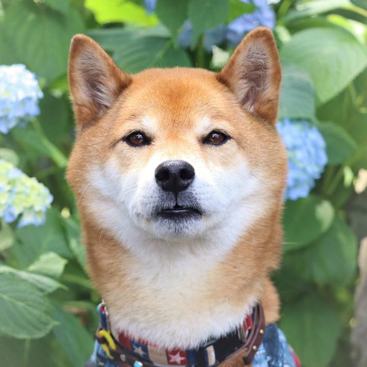 7d59b42b fac2 48af 8c94 8a1ec088ef71 1654519830535