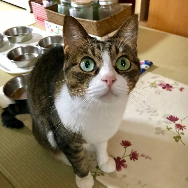 7d5a3d39 3faa 4c0c 9cc7 95a2dad4f965 1533198716677