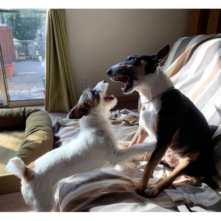 7d5a665c 9279 4cdb 904d 5c3c6c057ec1 1573274225422