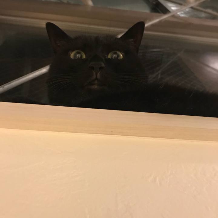 7d5a7429 aad1 4884 9d72 f1158cbf9b05 1531313471537