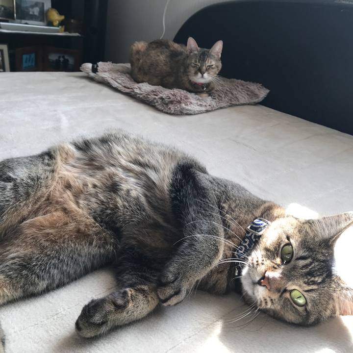 7d5a83db 0841 4448 9fd5 6e5b9dc006d1 1510456273190