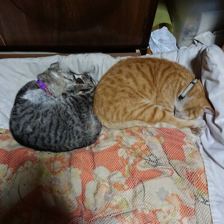 7d5a908b 3dcb 47dc 8cf8 c8df2a091f13 1591620261478