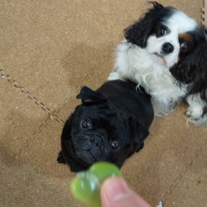 7d5a9cd3 b53e 44be be63 693692fac73e 1588251026410