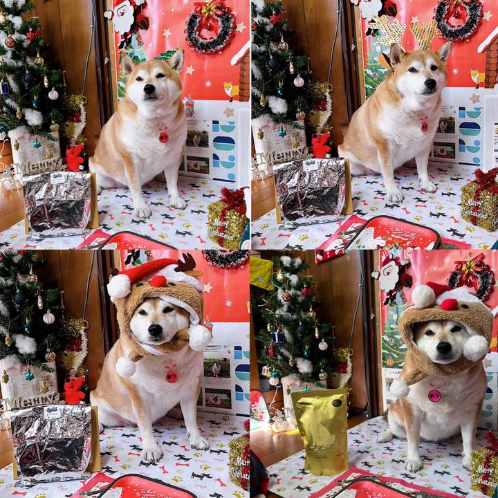 7d5aaecf 3eb9 4b9c 86d1 28a493be06ce 1671419931922