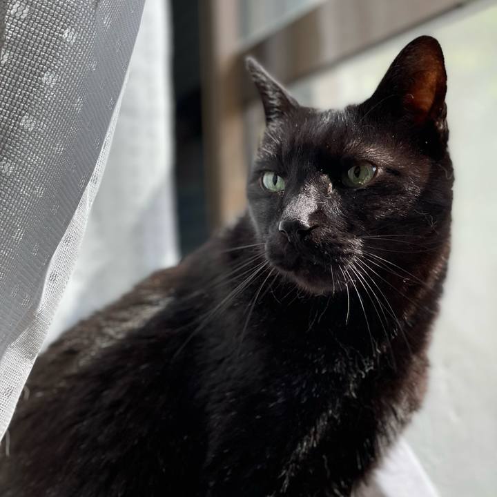 7d5ac96d f495 45e2 b188 8c7be7ef39c2 1651716268961