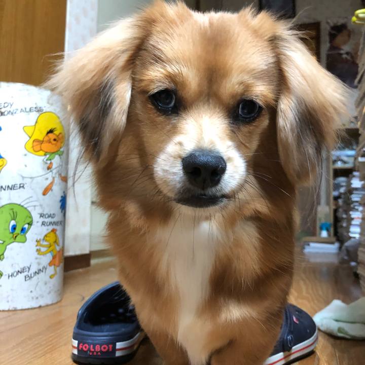 7d5b2806 5788 4e4d 9928 9ee709112524 1509886695559